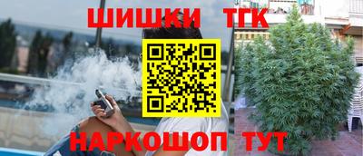 мдпв Славгород