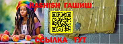 мдпв Славгород